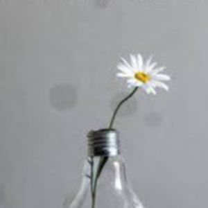 Meet your Posher, Penguin